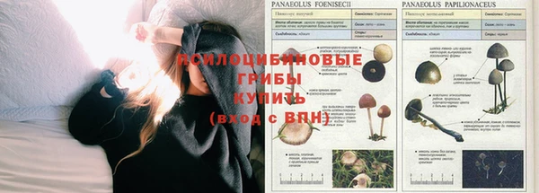 герыч Белоозёрский