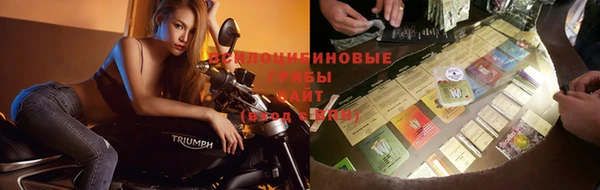 молекула духа Балабаново