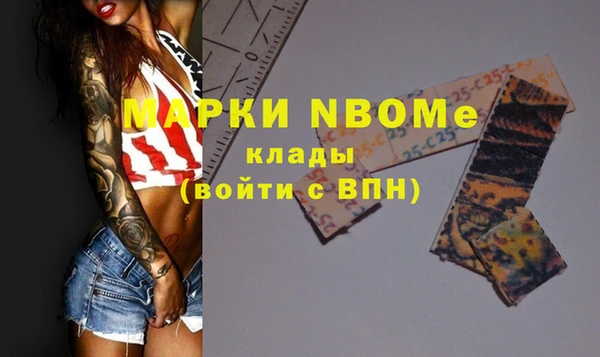 индика Баксан