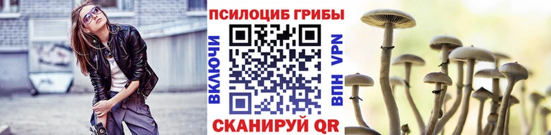 Галлюциногенные грибы прущие грибы  Кашин 
